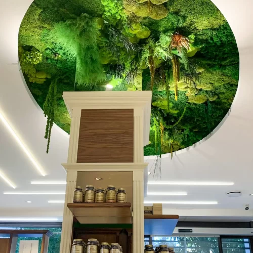 ristrutturare farmacia classica